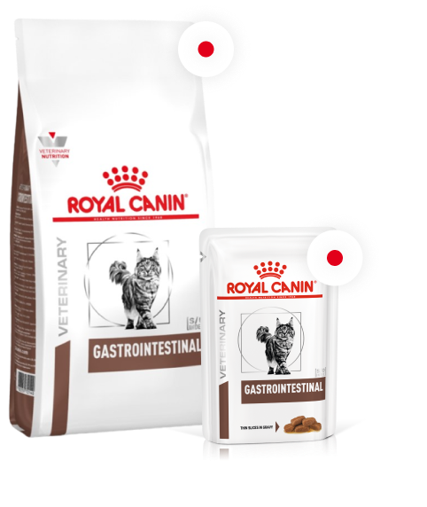 Royal Canin корм для взрослых и пожилых кошек всех пород при нарушениях  пищеварения, птица и рис — купить по доступной цене с доставкой
