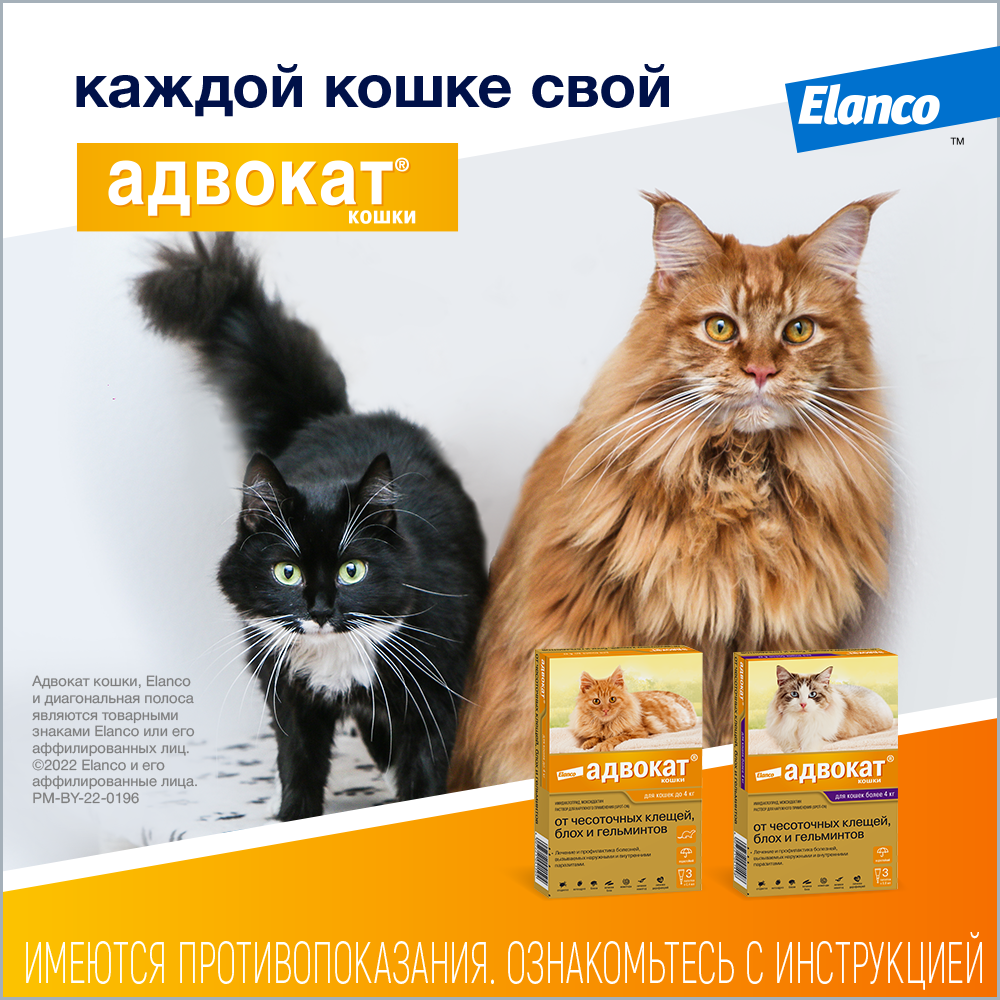 Elanco Адвокат капли для котят и кошек 4-8 кг, от клещей и блох — купить по  доступной цене с доставкой