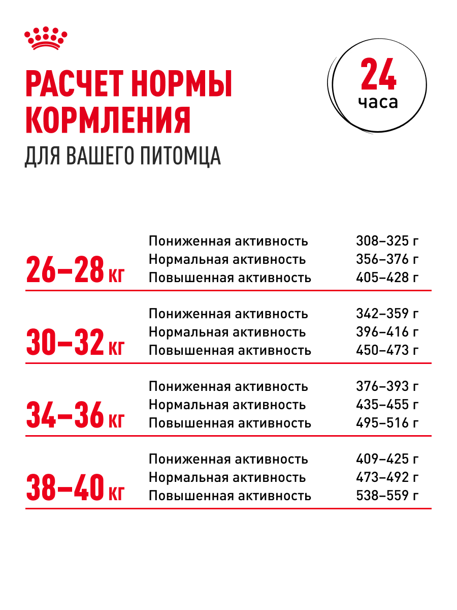 4627109383818 (8)