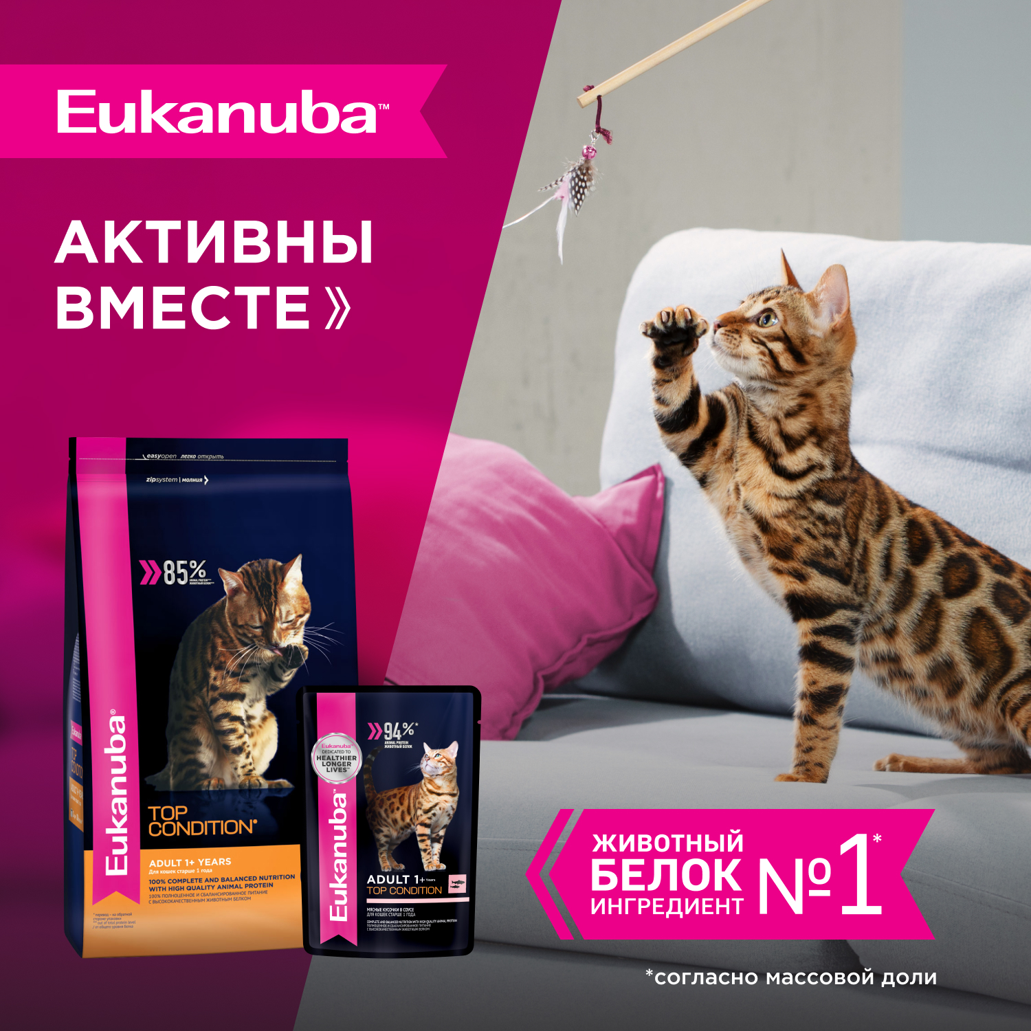 8-ВЛАЖНЫЙ-ADULT_TOP_CONDITION-SALMON