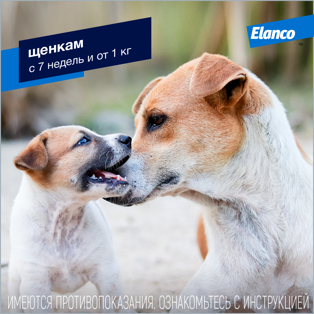 7. Advocate_dog_safe