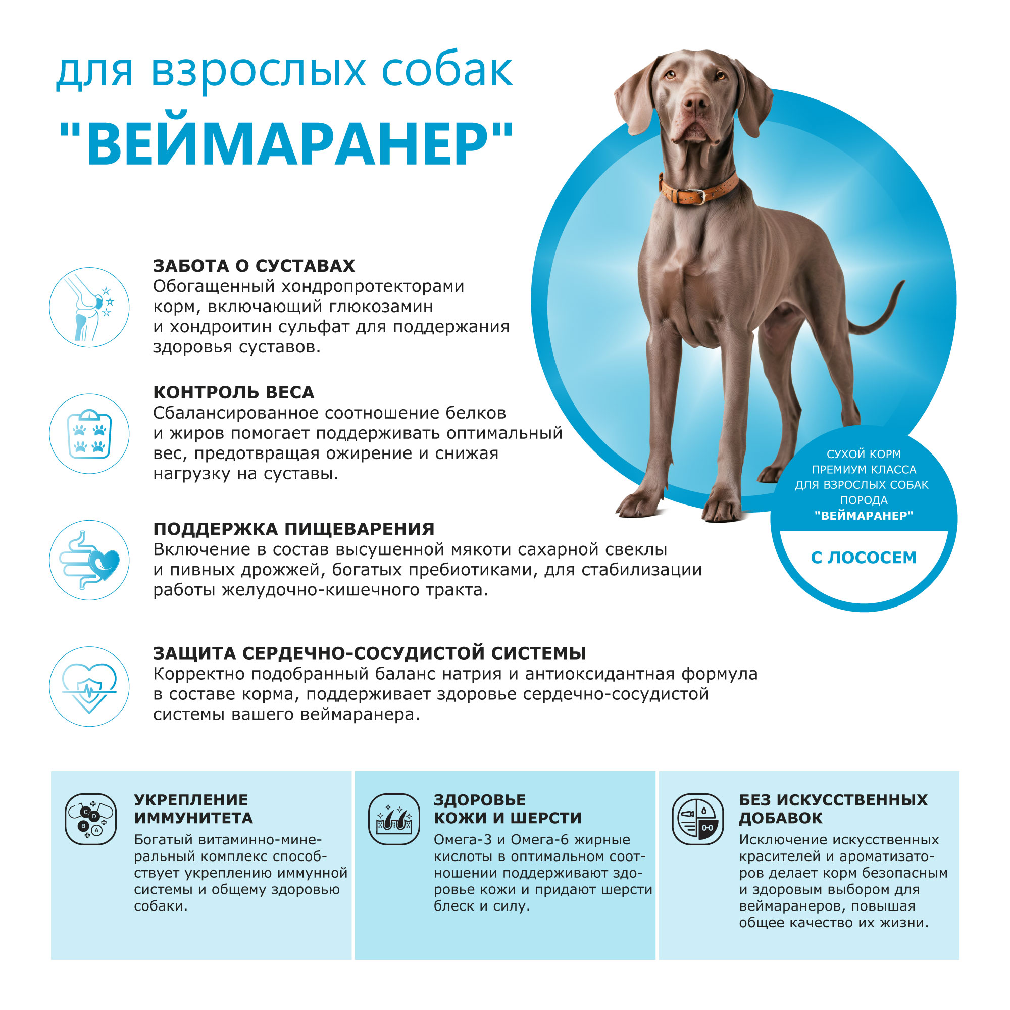 pic-2-лосось (2)