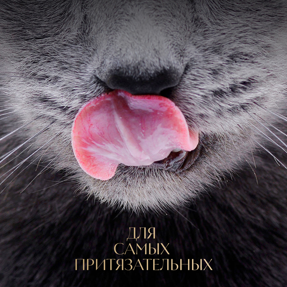 MicrosoftTeams-image