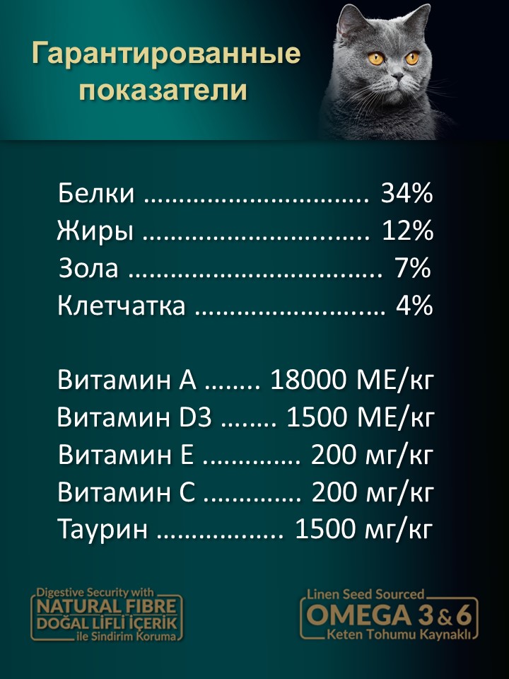 БИ_000272_4