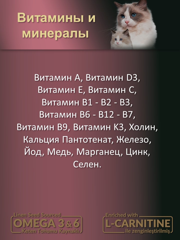 БИ_000269_3