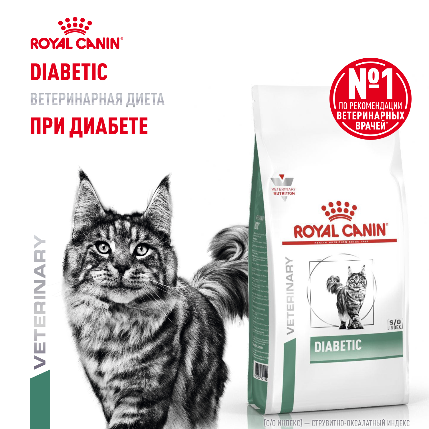 01_0_Cat_Diabetic_Dry (1)400