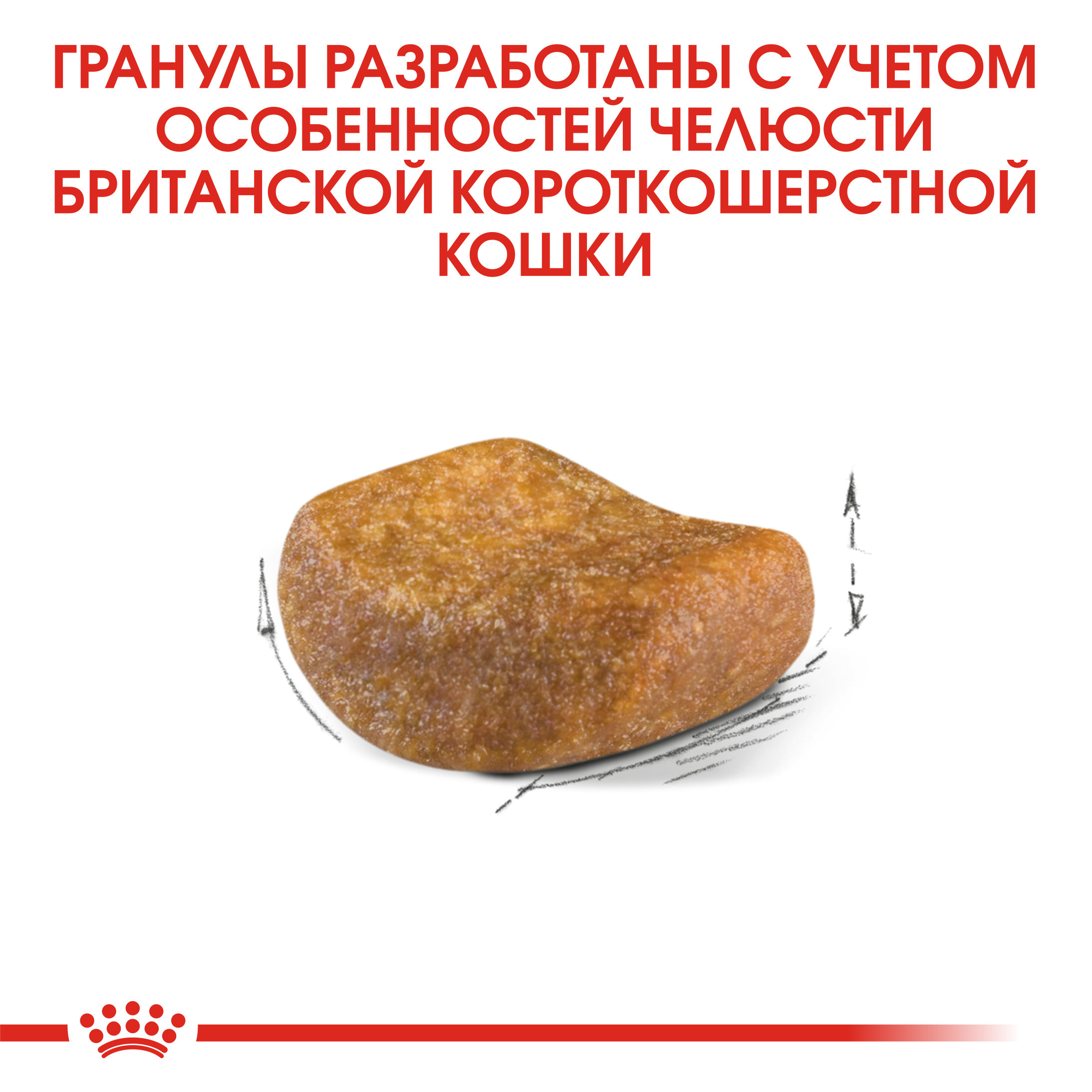 6_RC-FBN-BritishSH-CV-Eretailkit-2 RUS-new