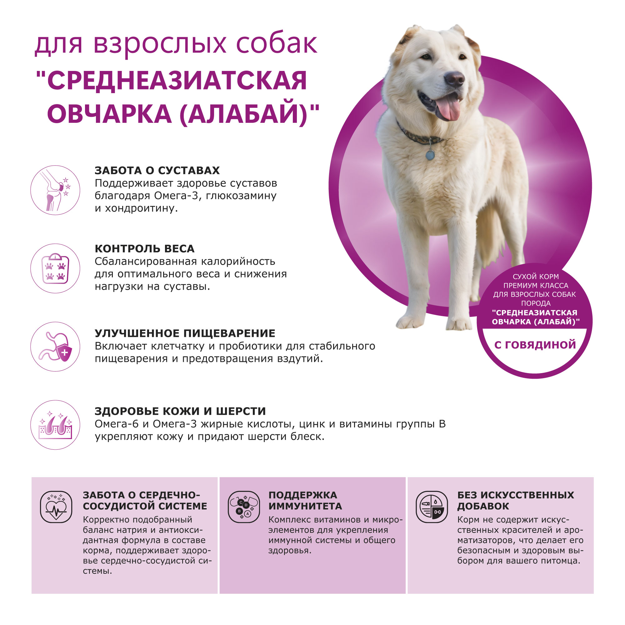 pic-2-говядина (2)