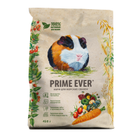 Морская свинка