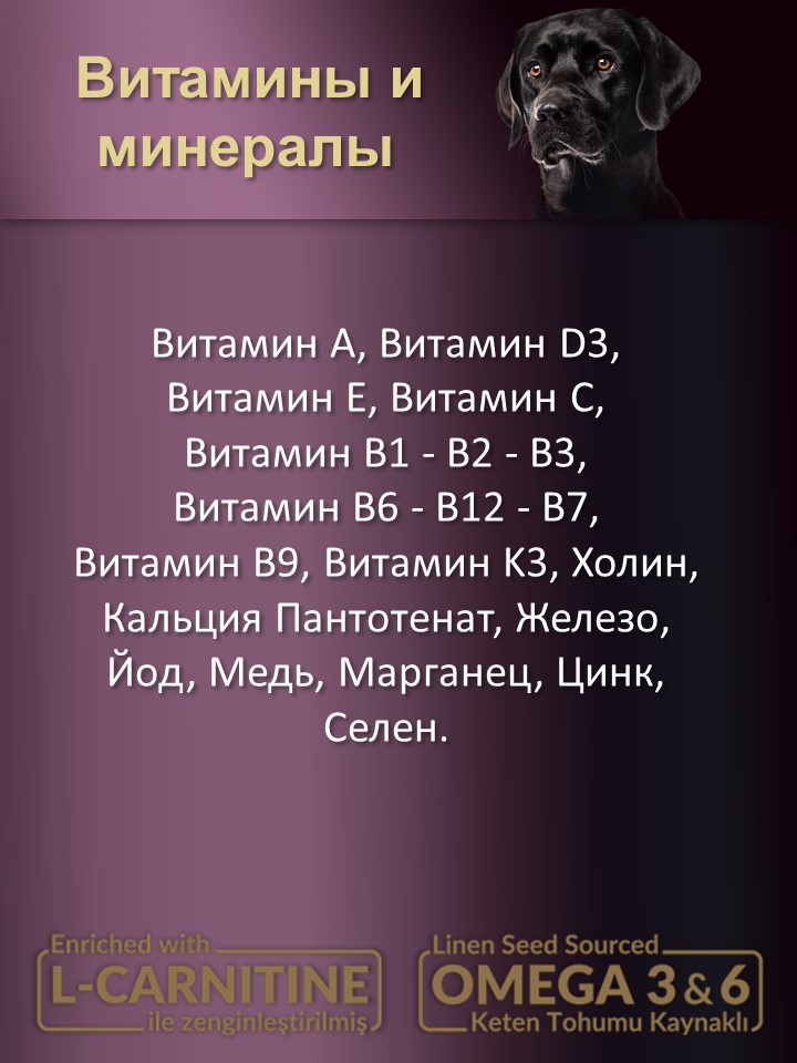БИ_000251_3