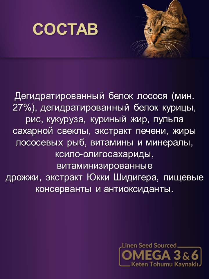 БИ_000281_2