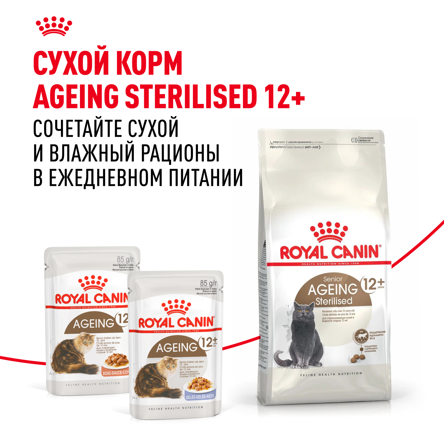 9AGEING 12+ gellee 