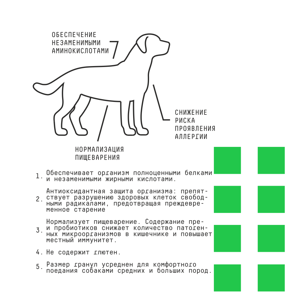 MP_Cards _AJO_Hypoallerg 2