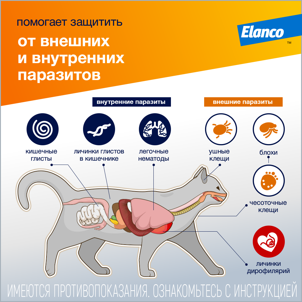 3_Advocate_cat_parasites