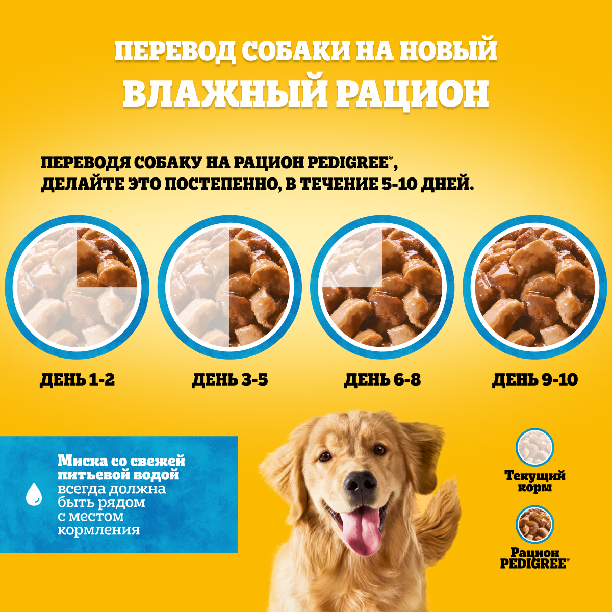 Pedigree влажный корм для взрослых собак всех пород, курица в соусе (28шт в  уп) — купить по доступной цене с доставкой