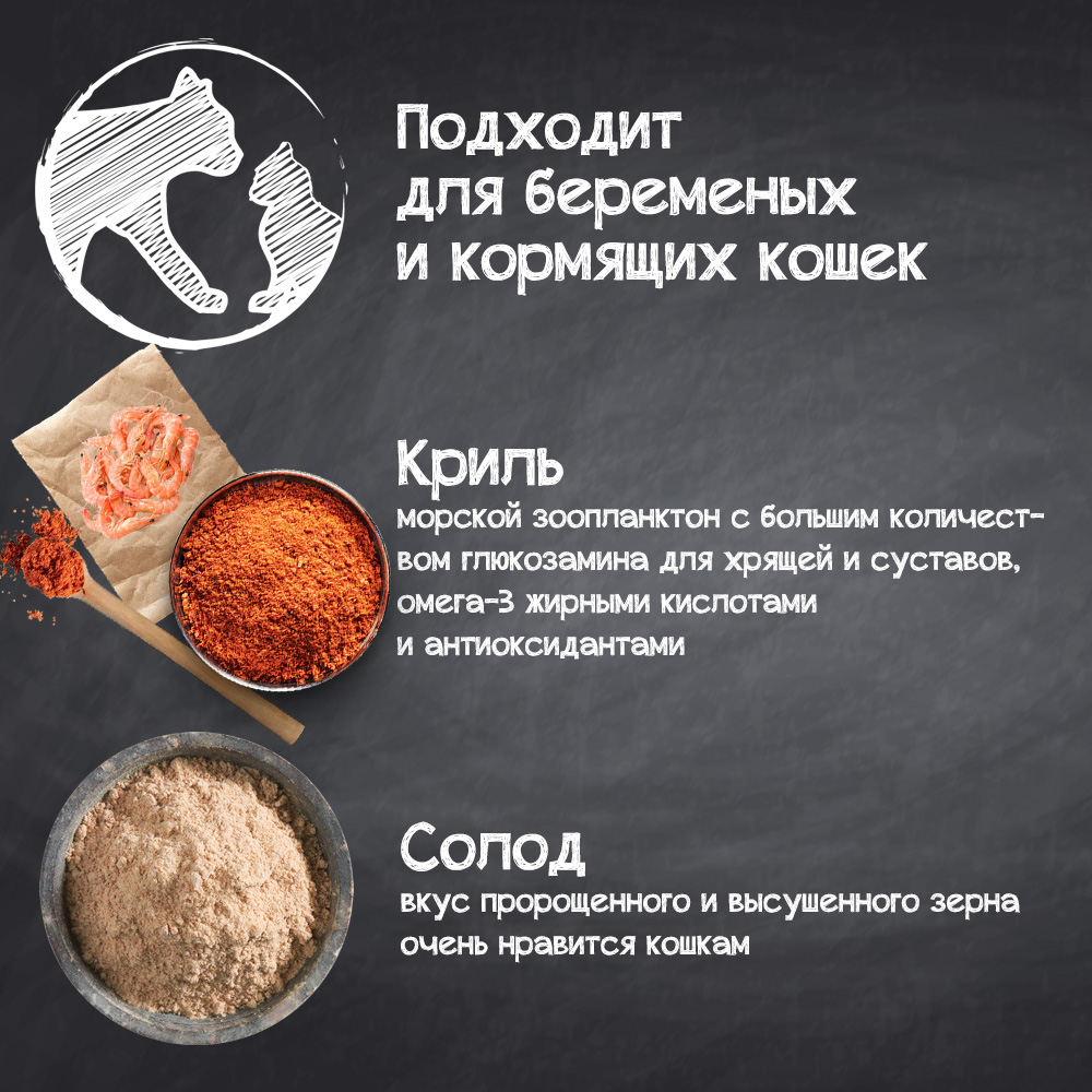 Leonardo Kitten info2