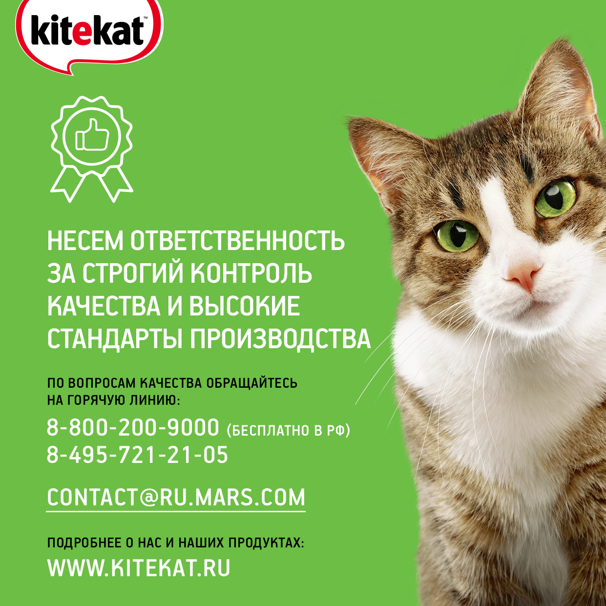 Kitekat корм для взрослых кошек, мясной пир — купить по доступной цене с  доставкой