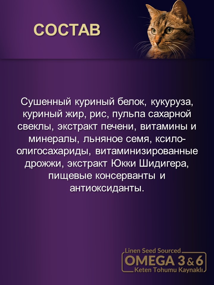 БИ_000273_2