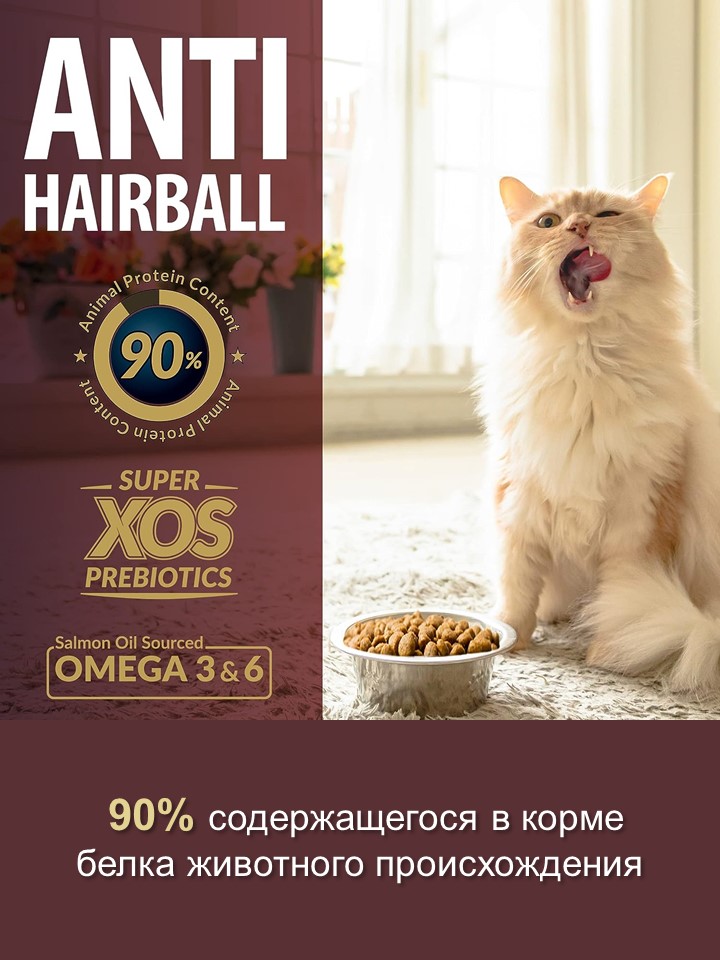БИ_000270_5