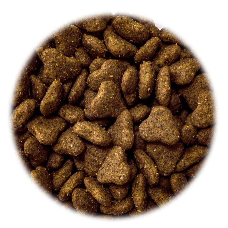 800X800_Dog Club Fitness Mini Croc