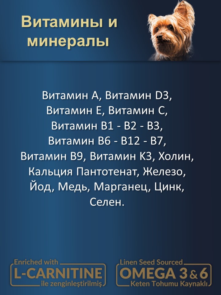 БИ_000258_3
