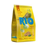 RIO_feed_budgies_mp_face (1)