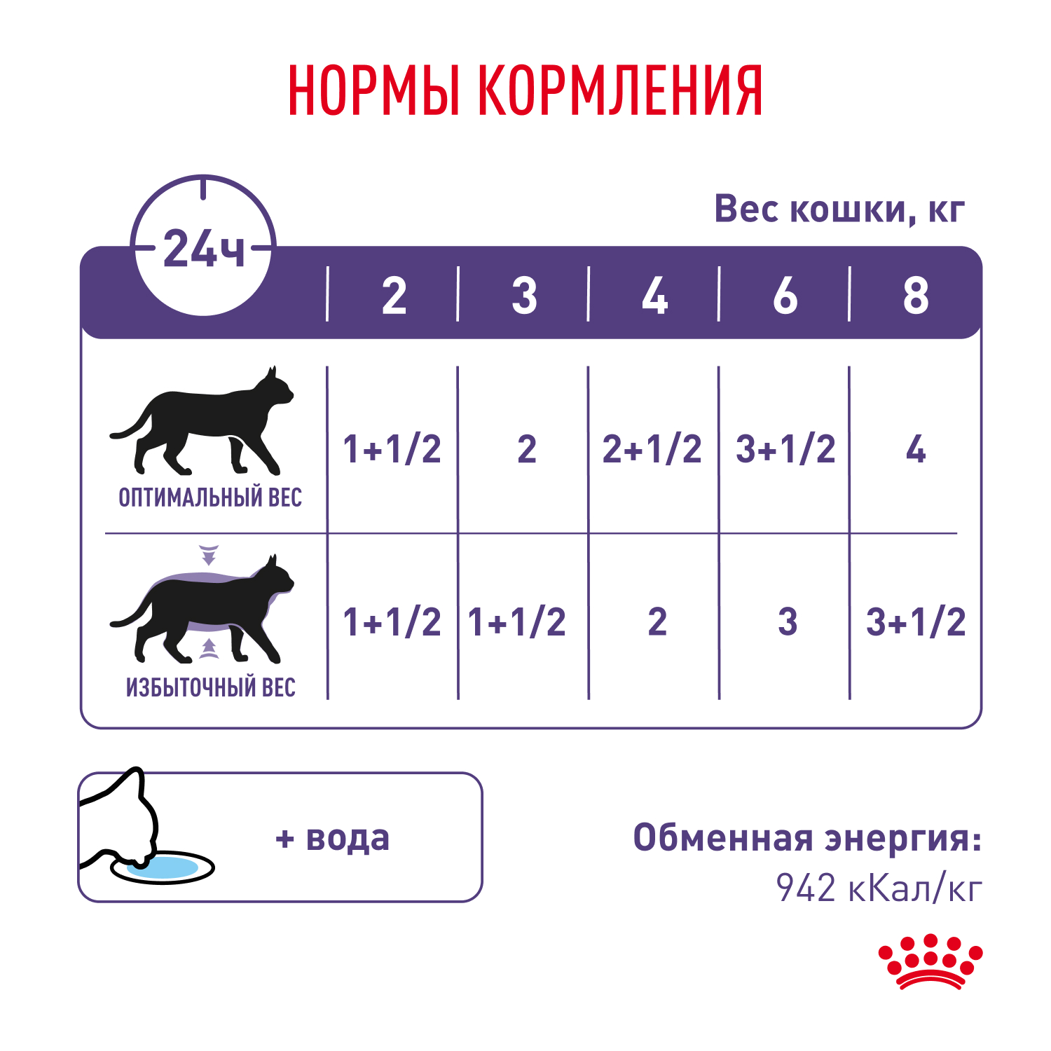 Cat_Neutered_Maintenance_8