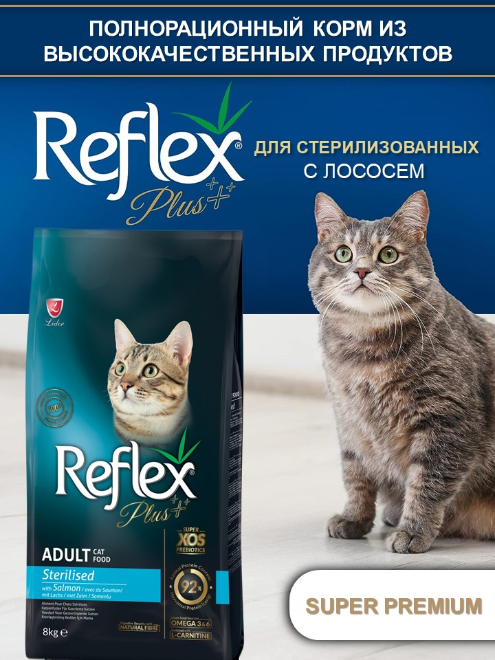 БИ_000278
