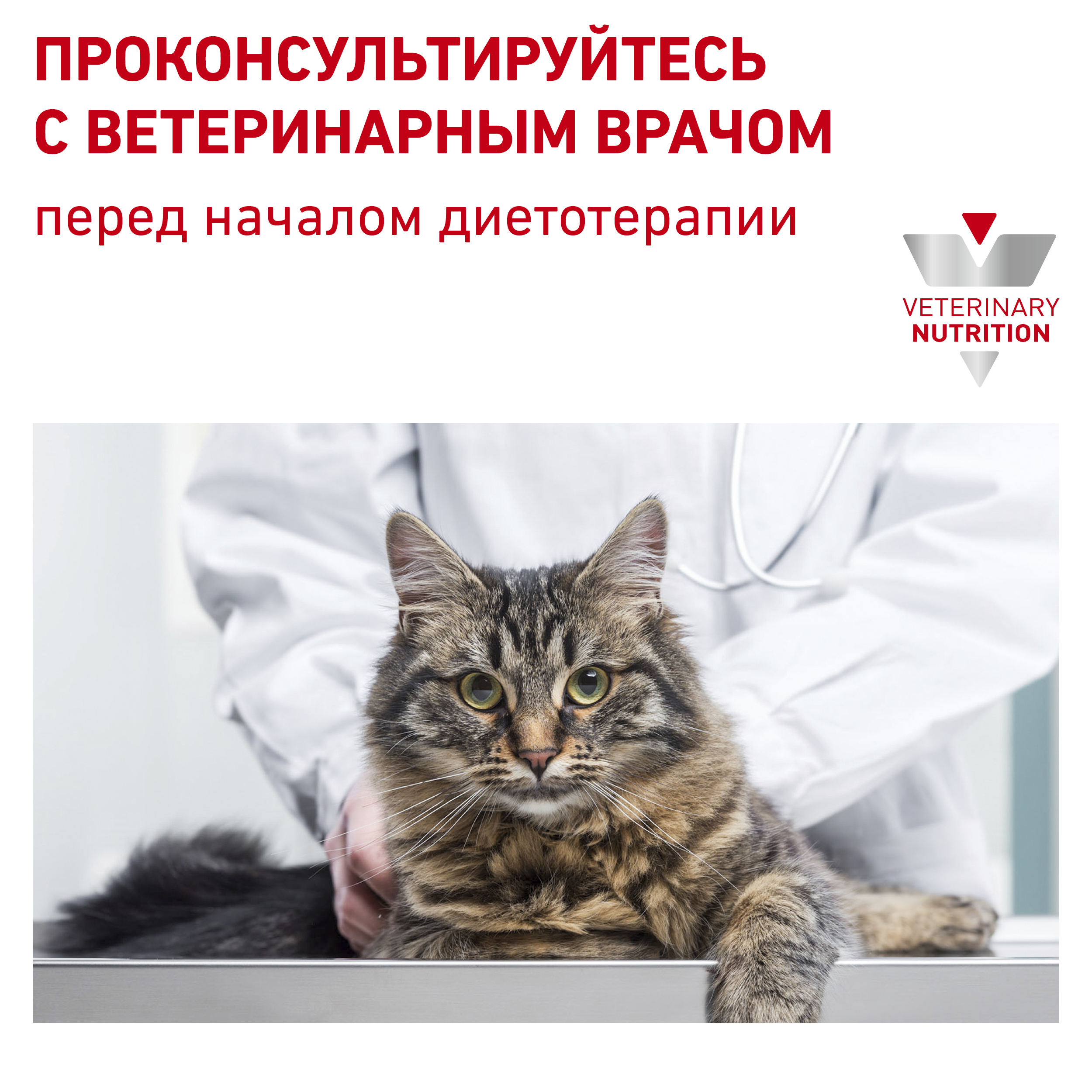 Royal Canin корм для взрослых и пожилых кошек всех пород при нарушениях  пищеварения, птица и рис — купить по доступной цене с доставкой