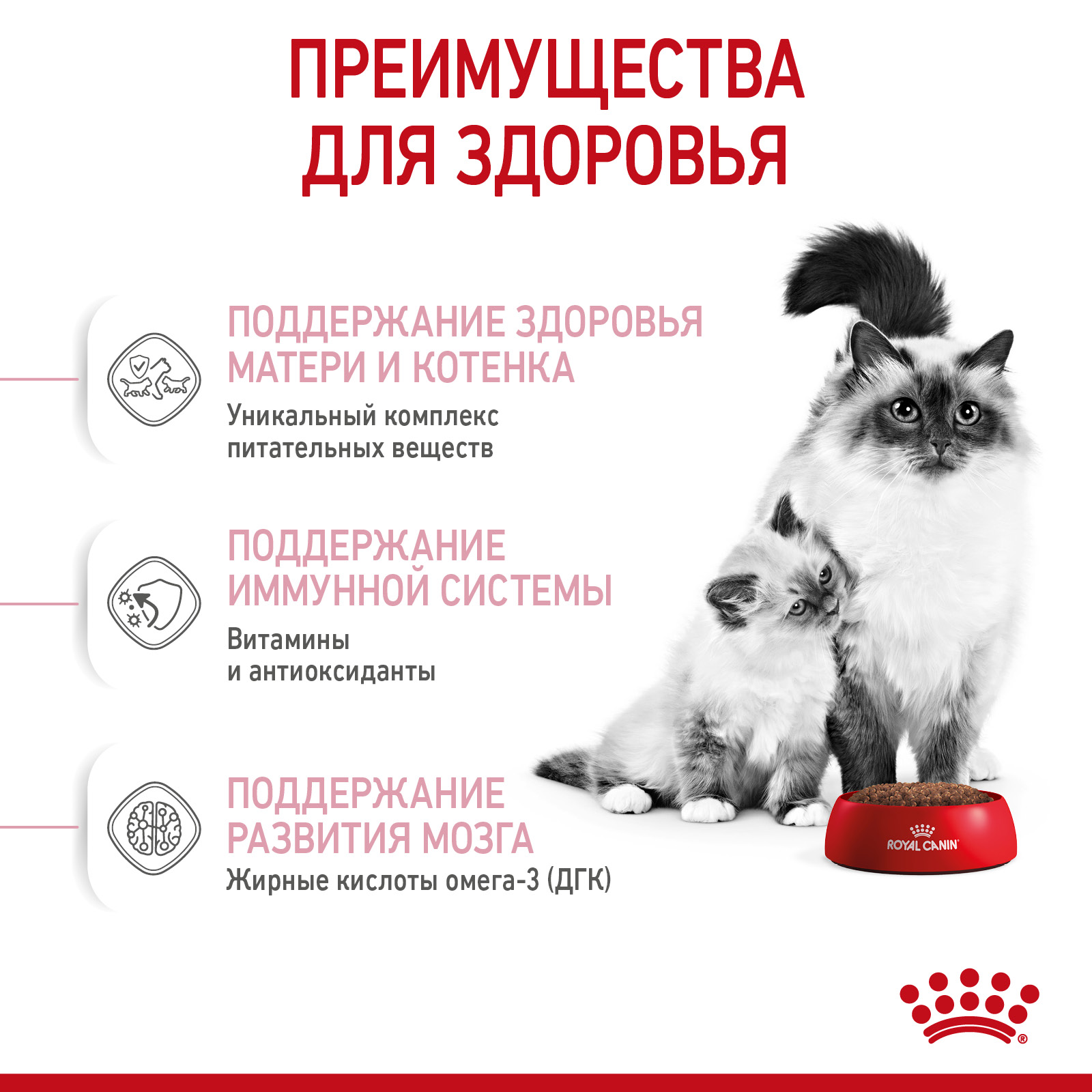 Сухой корм для кошек и котов купить с доставкой | Интернет-зоомагазин  PetFood.ru