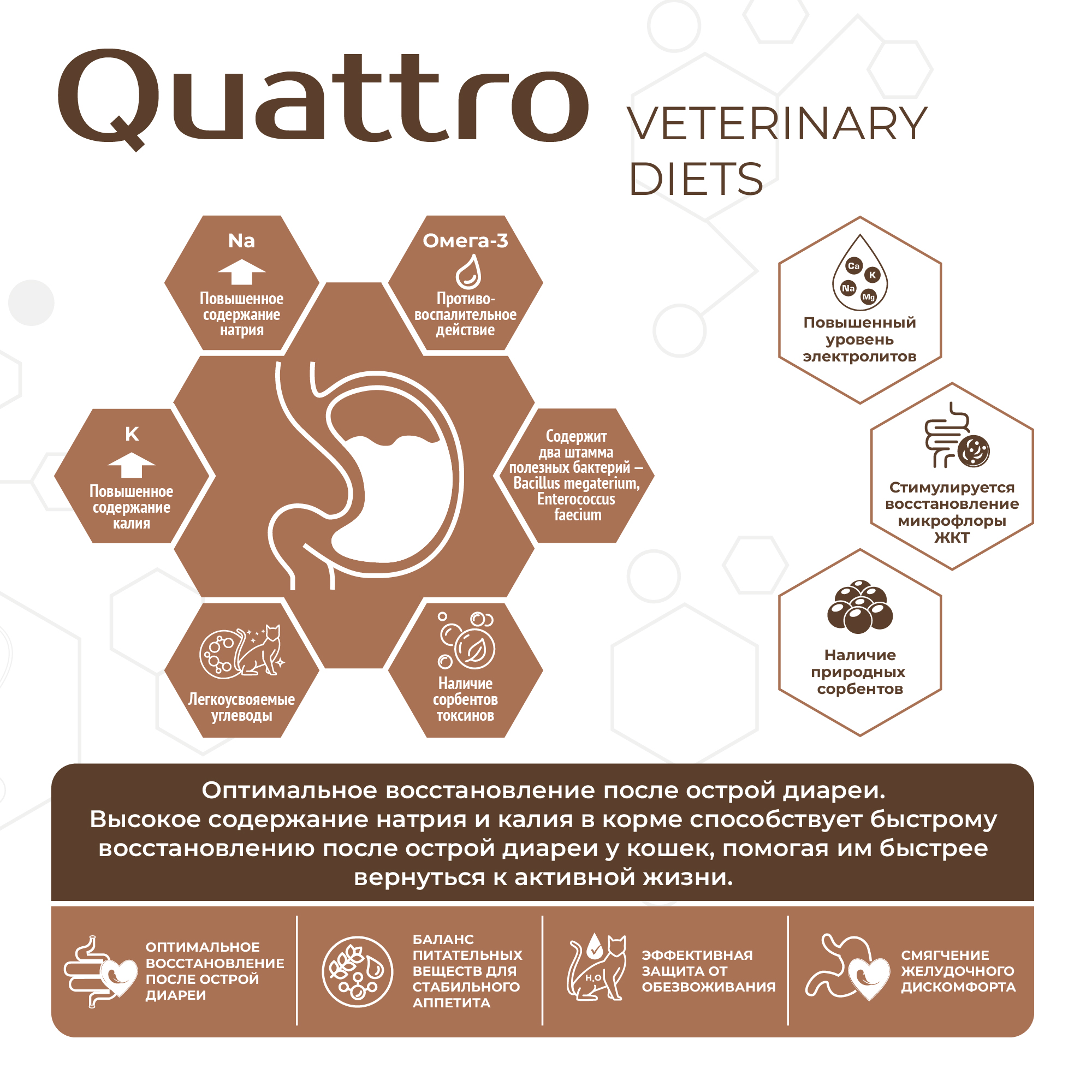 Quattro_Vet_11SKU_cards_2000px-66