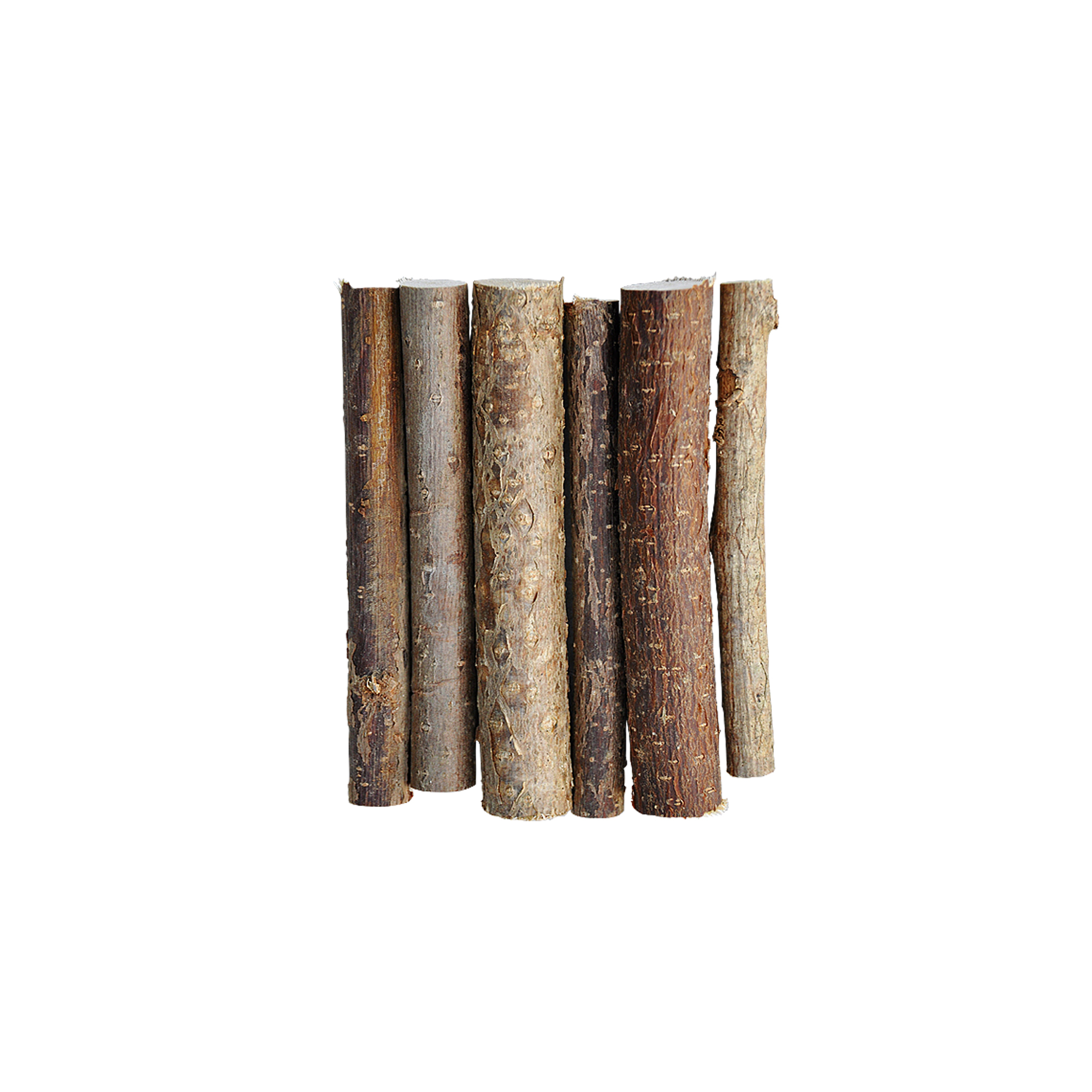 Little One_hazelnut branches_show