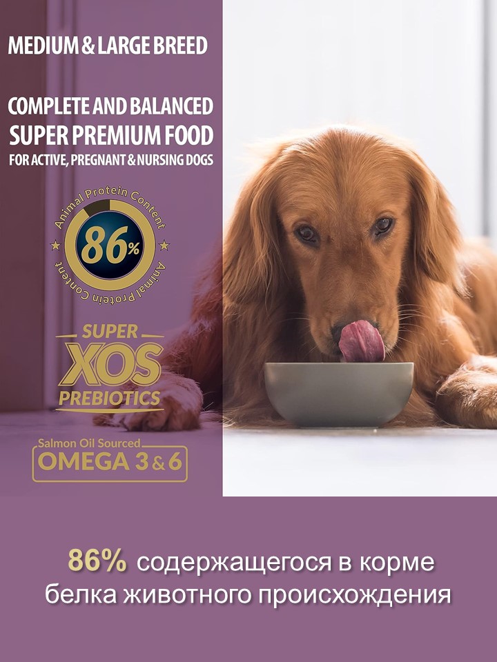 БИ_000251_5