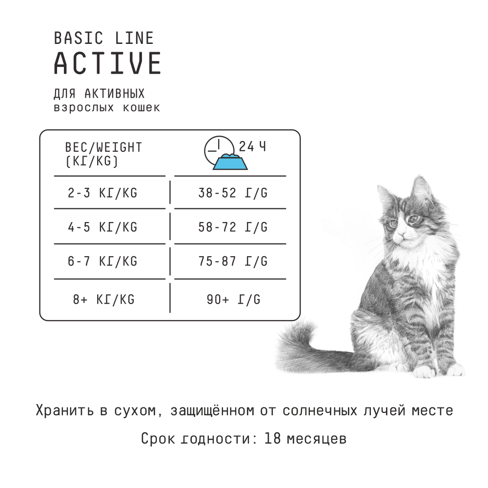 MP_Cards _AJO_Aktive 3