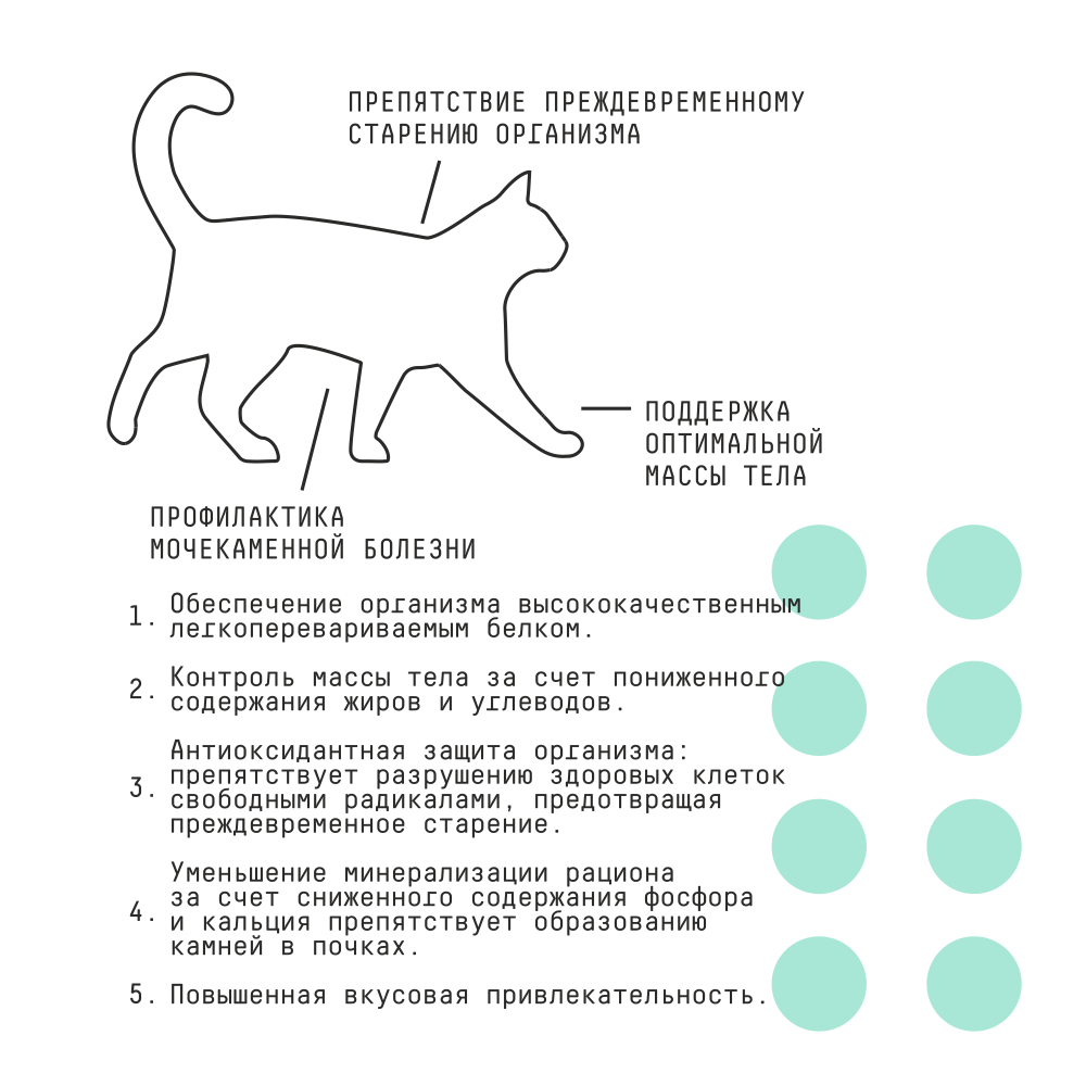 MP_Cards _AJO_Sterile 2