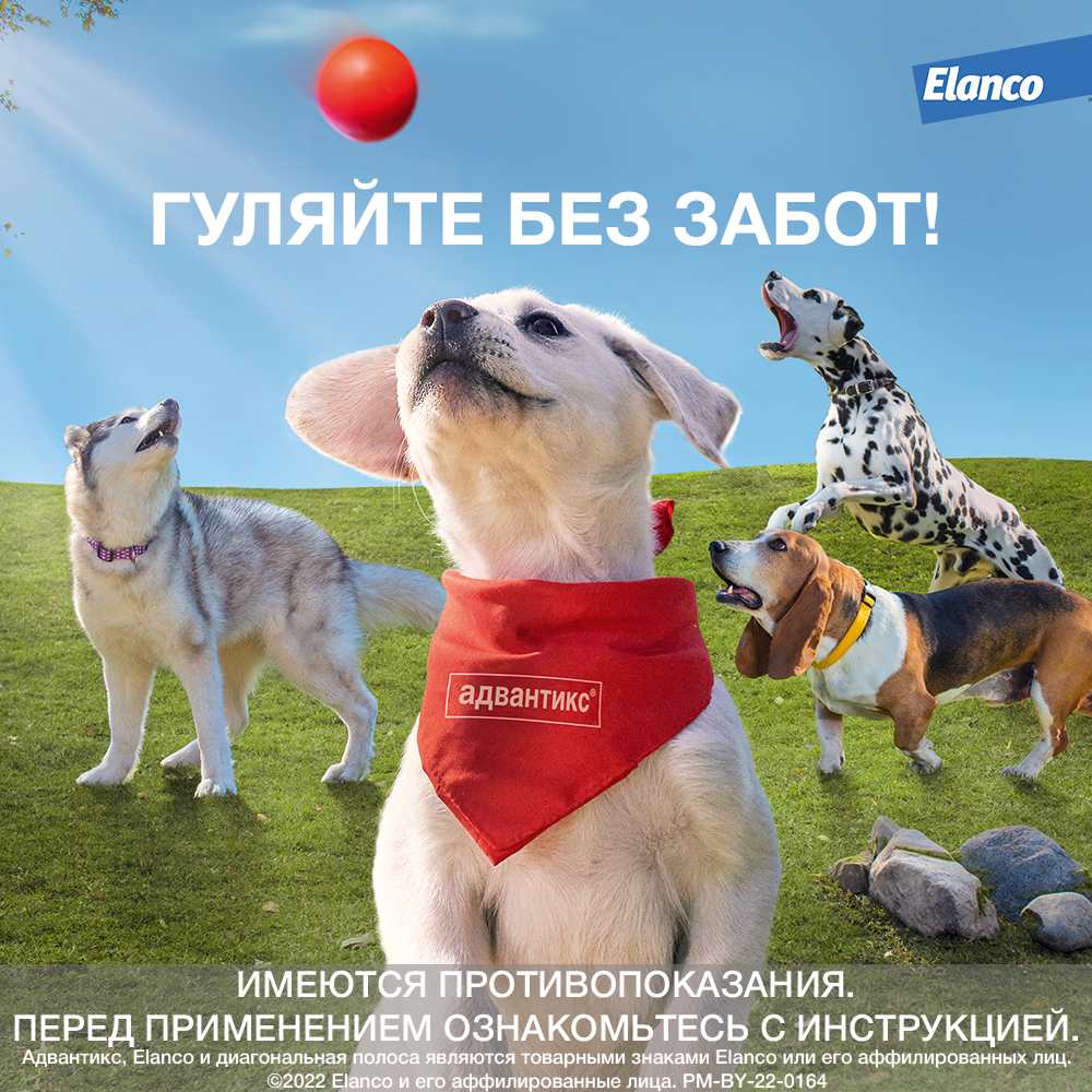13.Advantix dog 25-40 1pip_visual