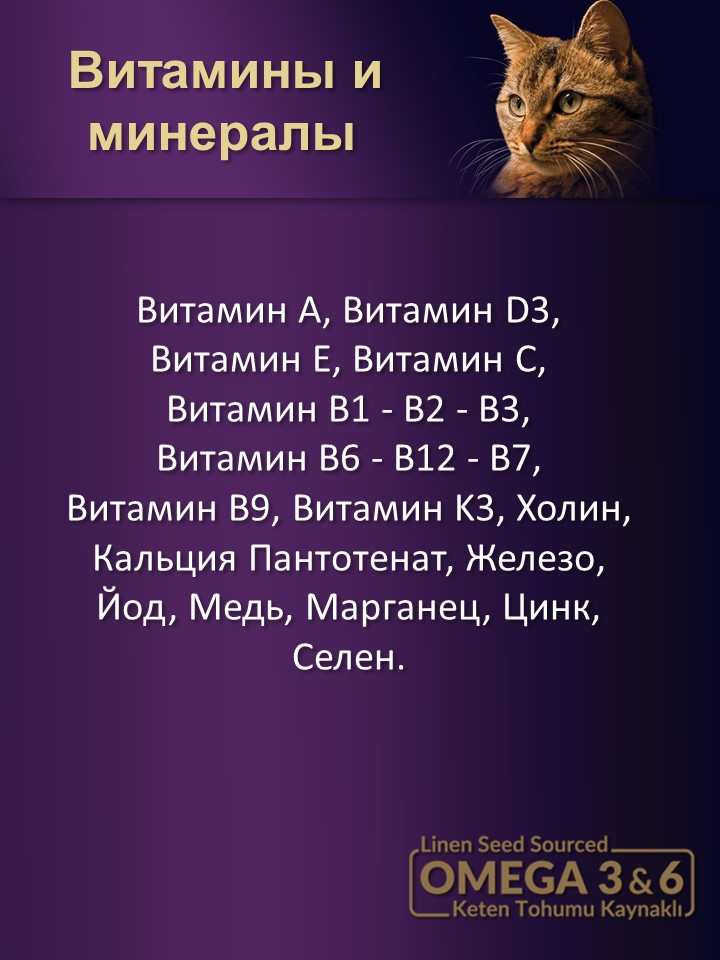 БИ_000281_3