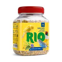 RIO_wild seeds_face