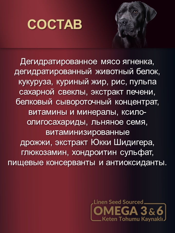 БИ_000250_2