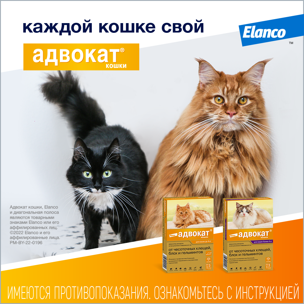12_Advocate_cat_all