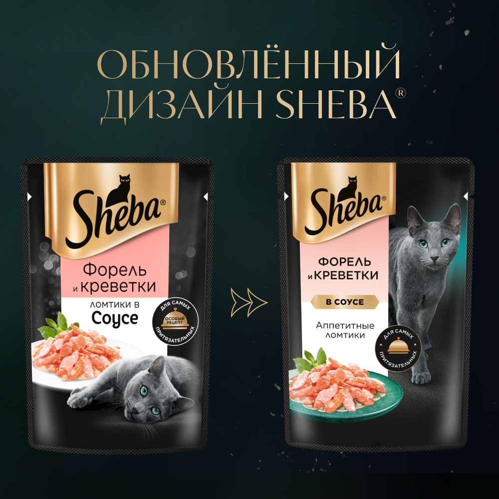 Влажный корм для кошек и котов купить с доставкой | Интернет-зоомагазин  PetFood.ru