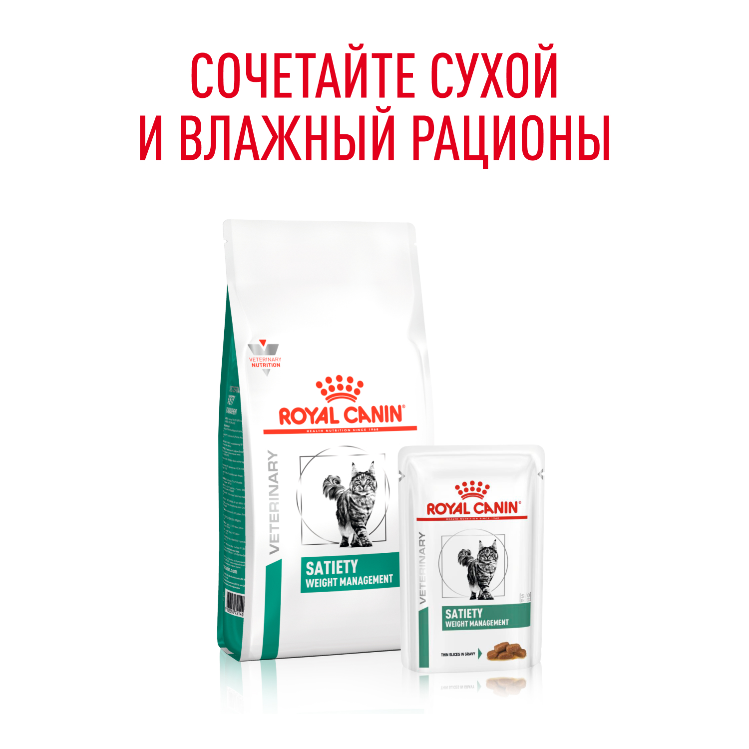 Cat_Satiety_weight_management_4