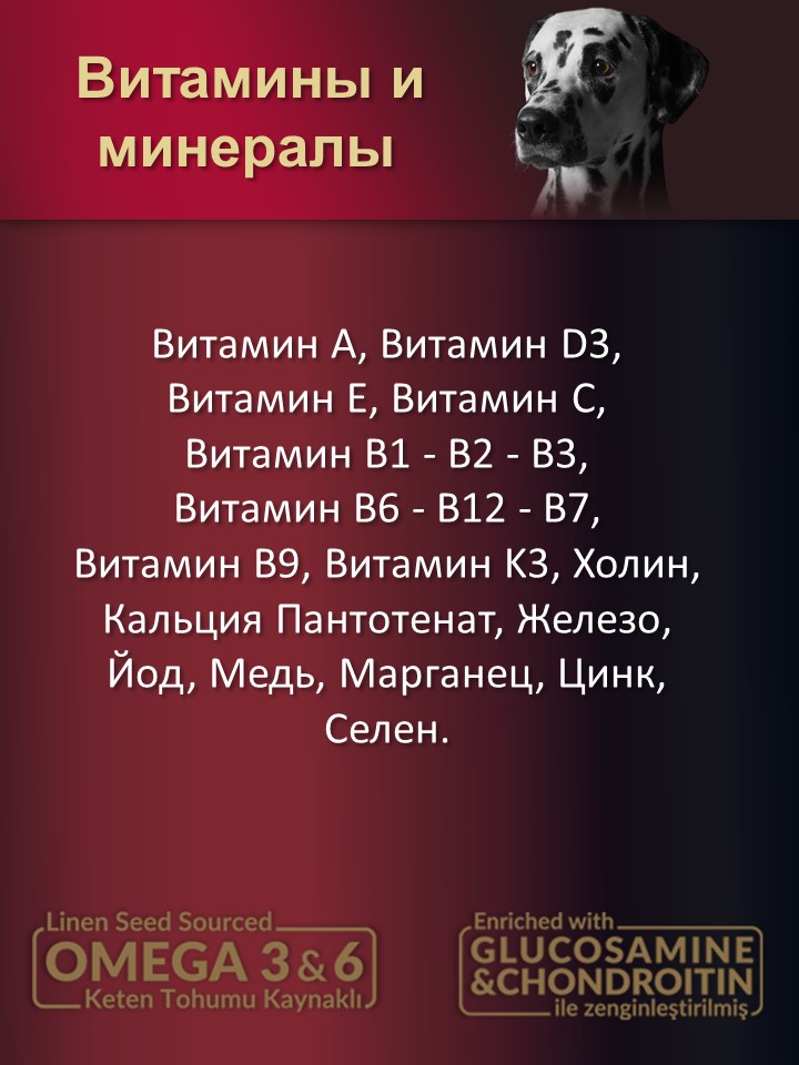 БИ_000257_3