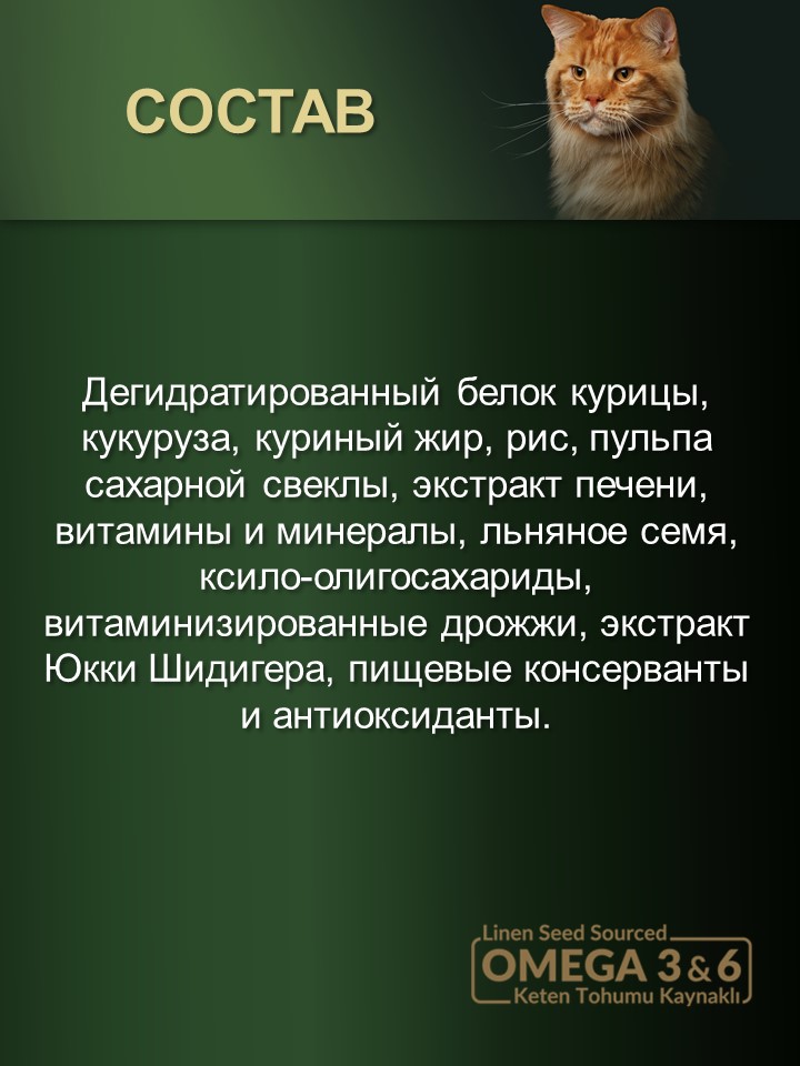БИ_000279_2