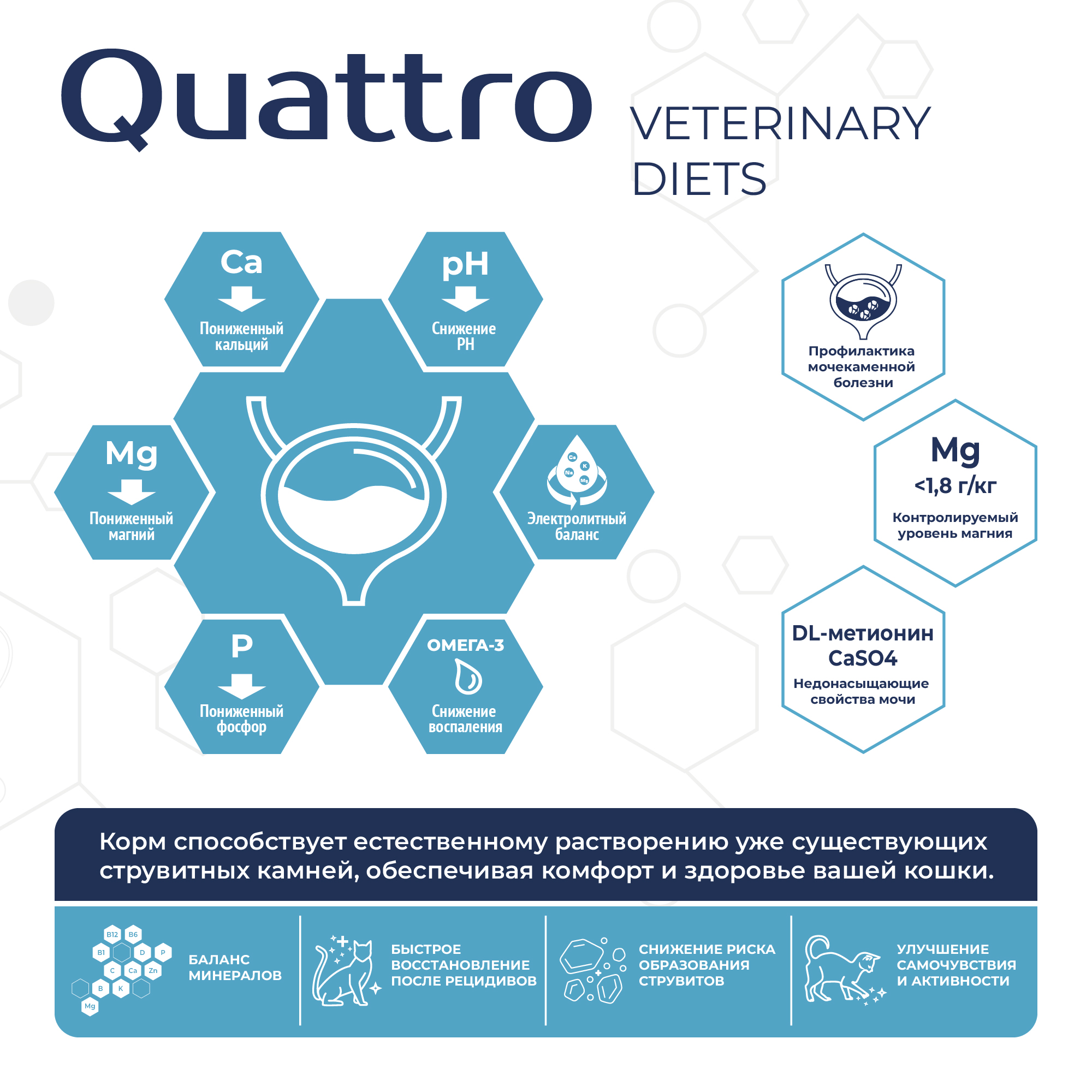 Quattro_Vet_11SKU_cards_2000px-02