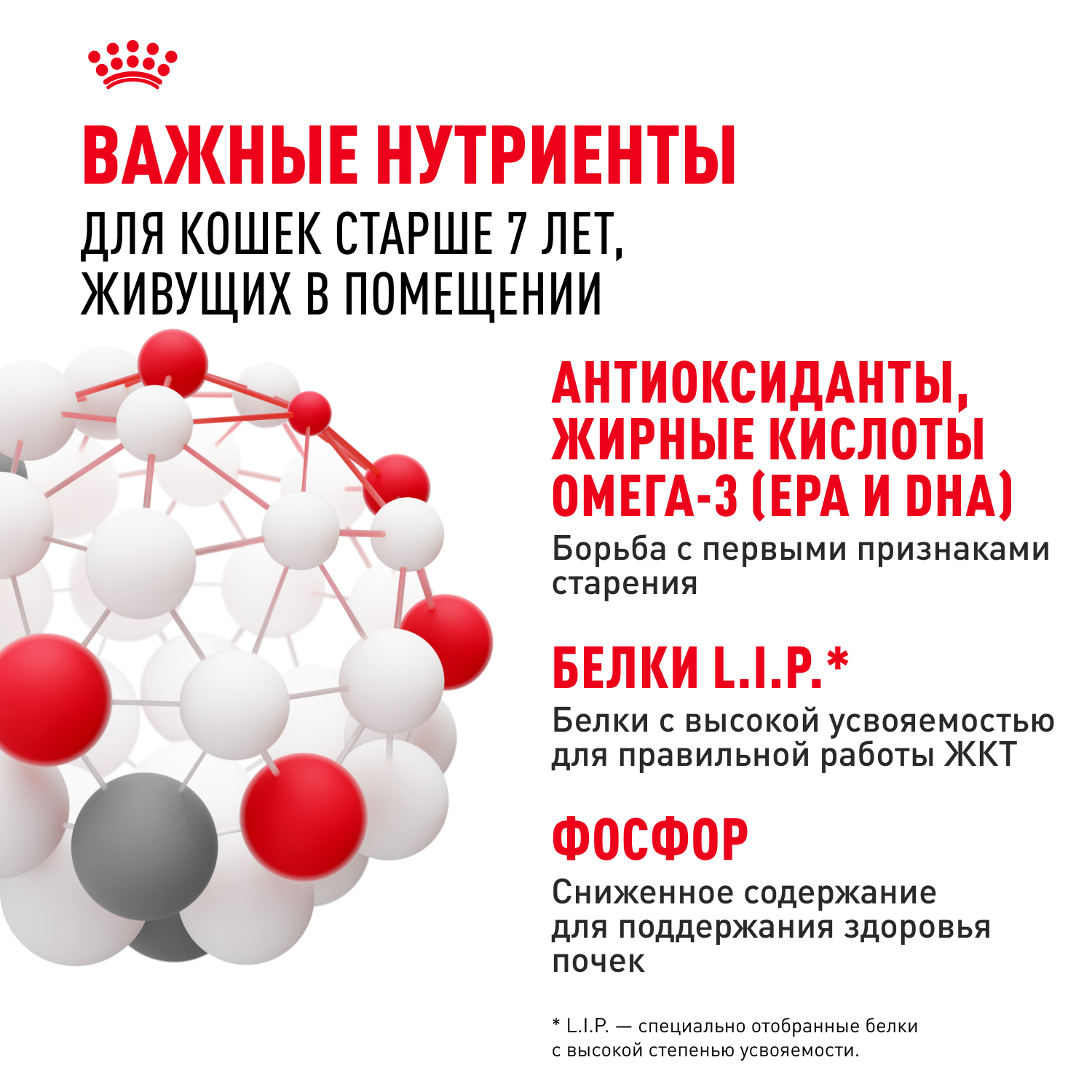 6-INDOOR STERILISED 7plus souce