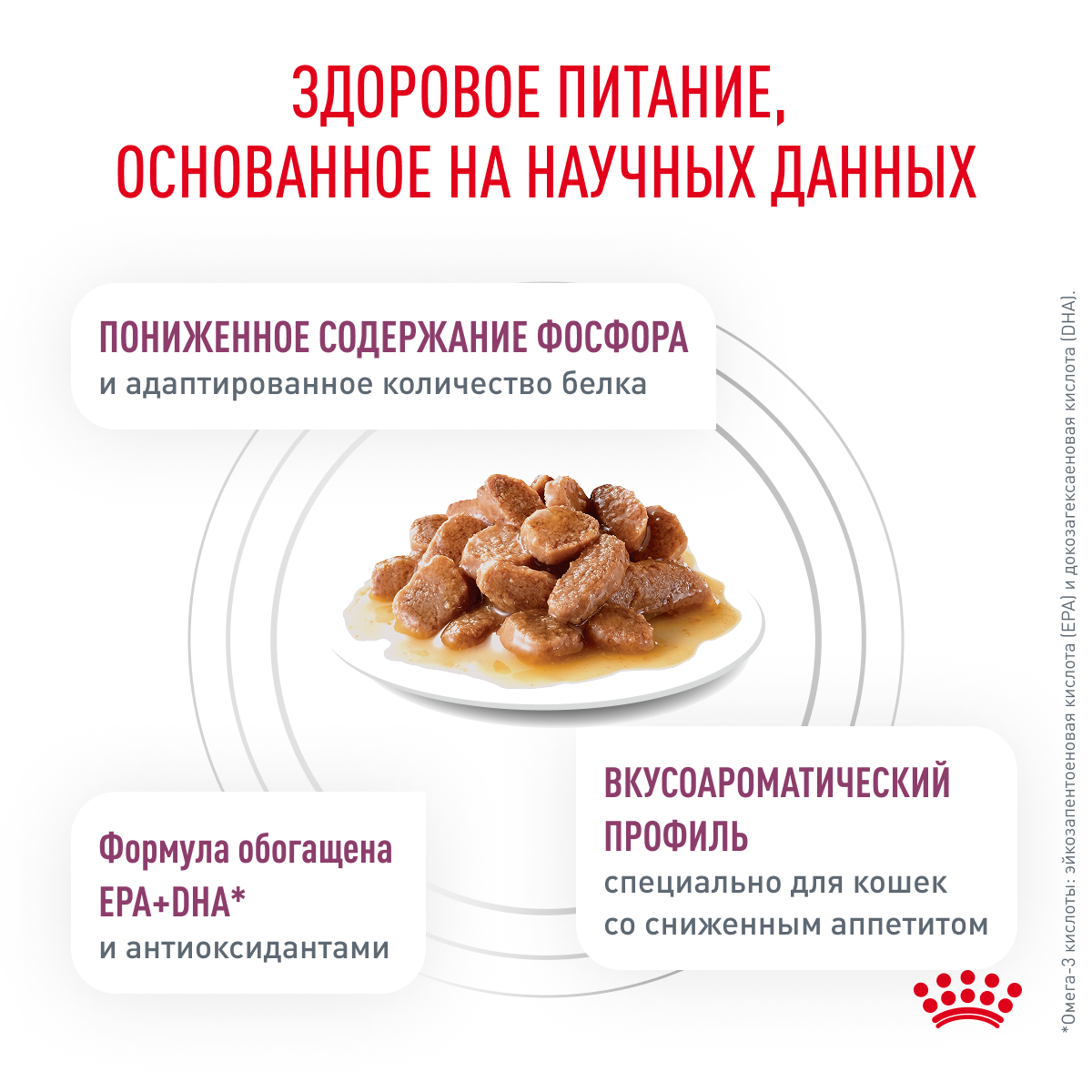 4_Cat_Renal_Chiken