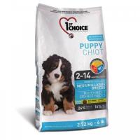 1st Choice Puppy Medium and Large Breeds
