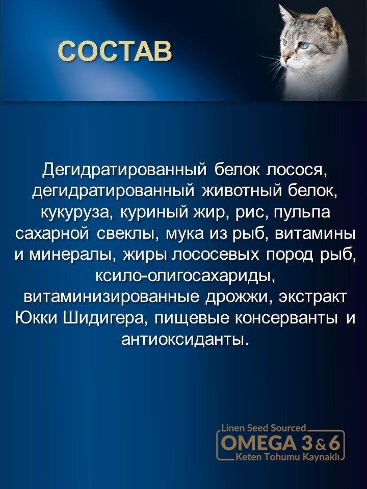 БИ_000275_2
