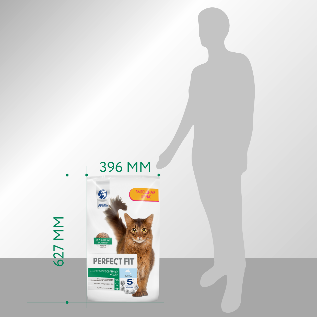 PF_DCOMM_2024.09.16A_25-3